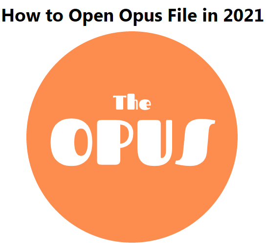 How to Open Opus File-pip