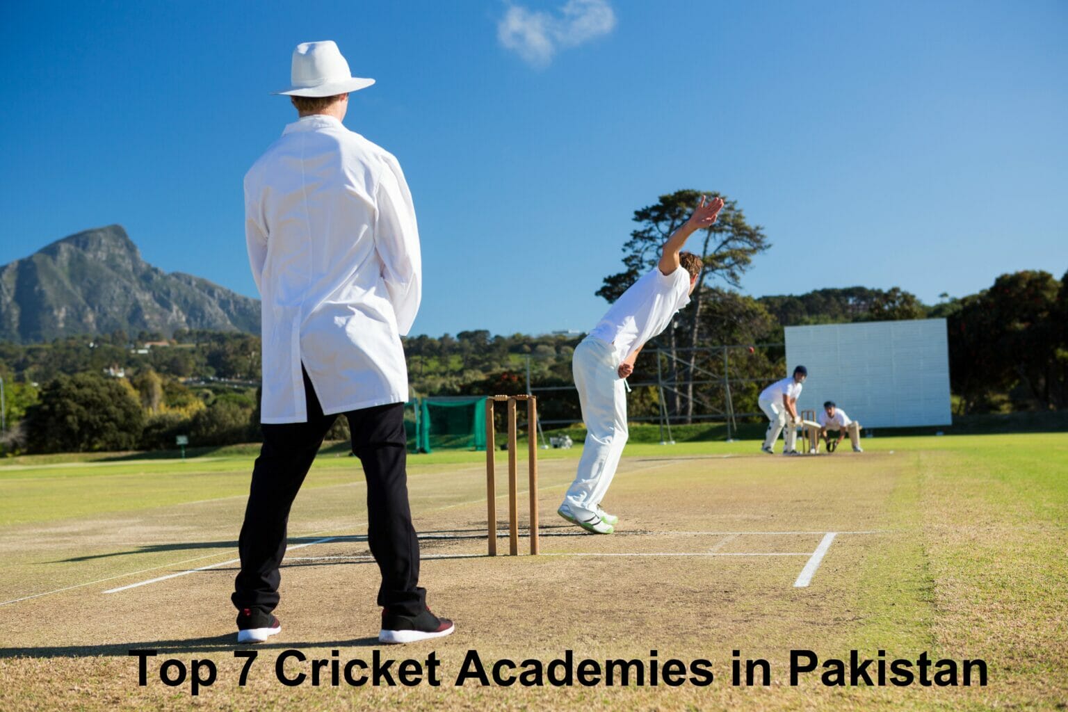 7 Best Cricket Academies in Pakistan | Price in Pakistan