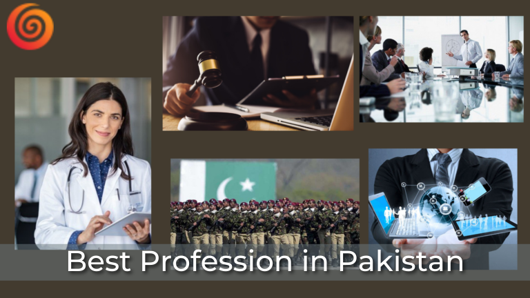 Best Profession in Pakistan-price in Pakistan